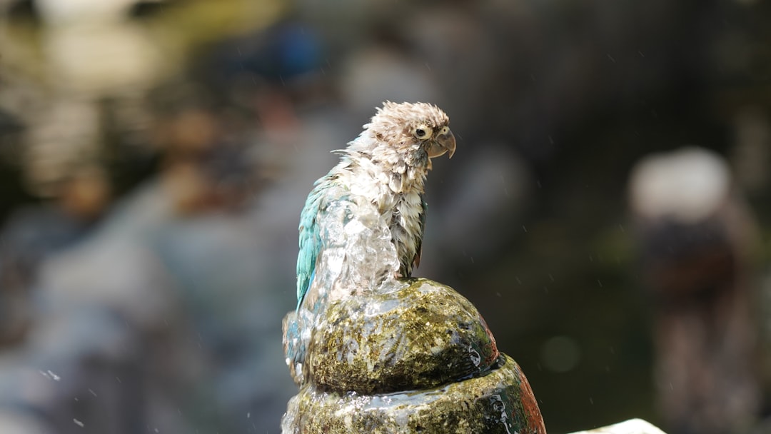 Arjen Huffels: De creatieve kapper die inspireert op Instagram