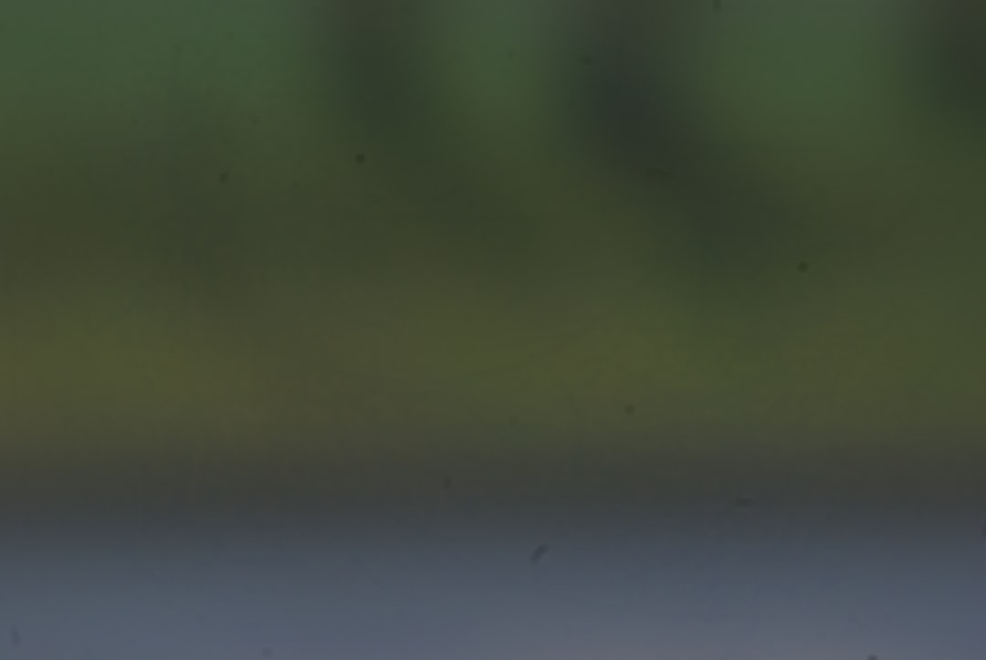 Alles over de leeftijd van Wendy en Peter Gillis: feiten en achtergronden