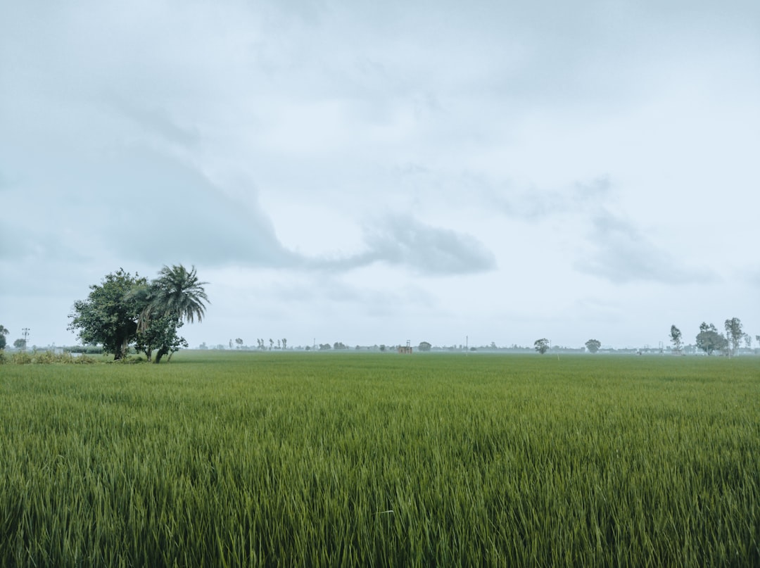 Jet Rob de Nijs: Liefde, zorg en samen leven in het licht van muziek