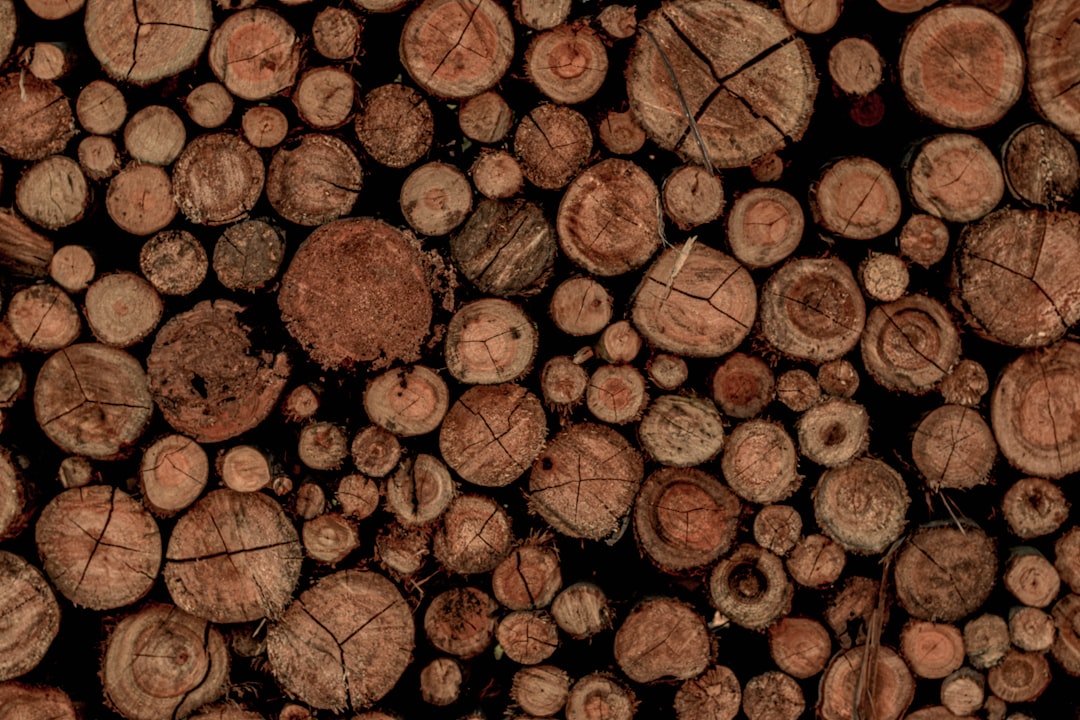 Het gezinsleven van Wendy van Hout en haar kinderen