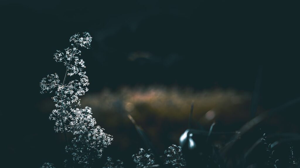 Het opmerkelijke vermogen van Harrie Lavreysen: een blik op sport en geld