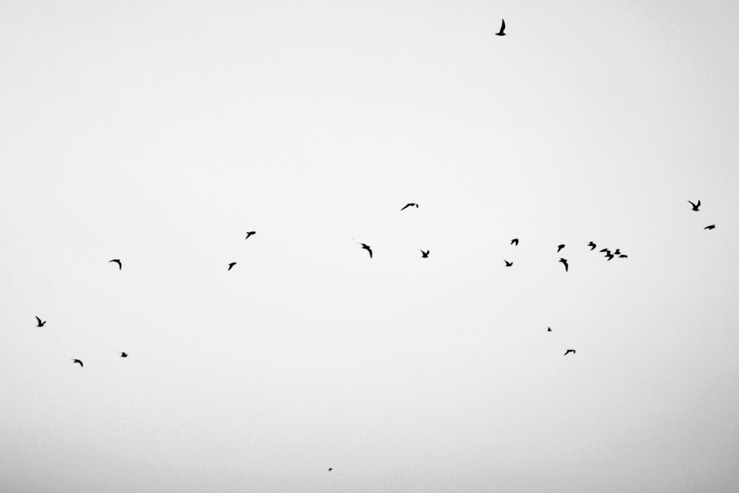 Max Verstappen en Kelly Piquet nog steeds samen